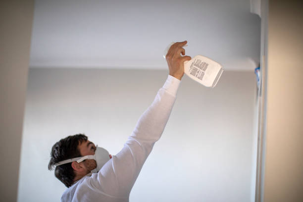 Best Mold Remediation for Specific Building Types in Mojave, CA
